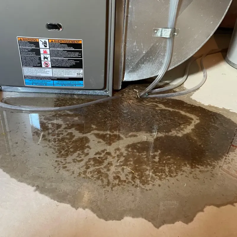 Appliance Leak Cleanup in Lowndes County, AL